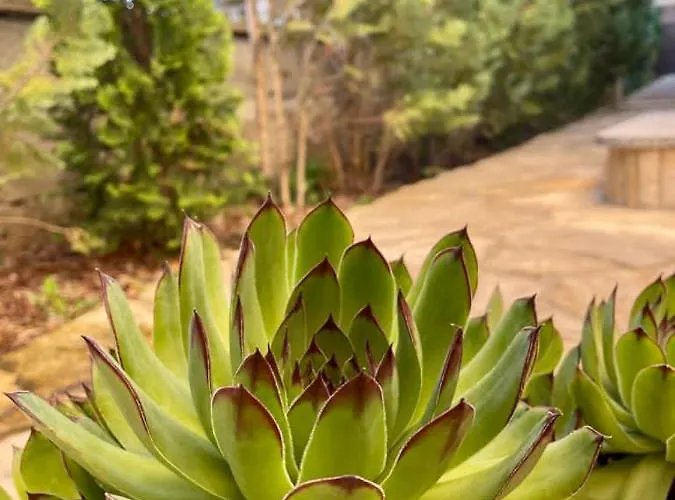 Dalmatian Village Charm - Spacious With Pool Near Trogir